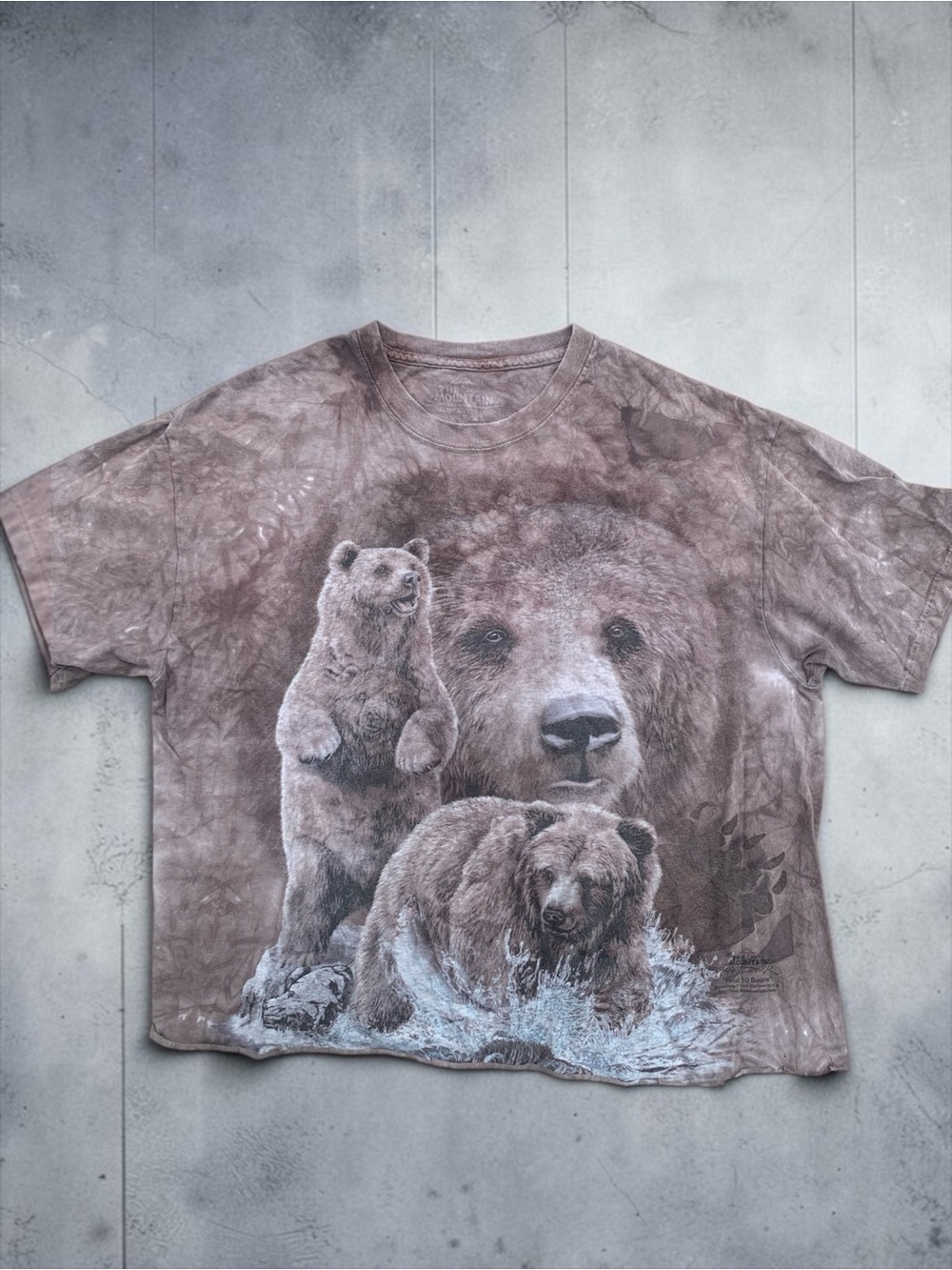 The Mountain Grizzly Bears Women’s Large T-Shirt
